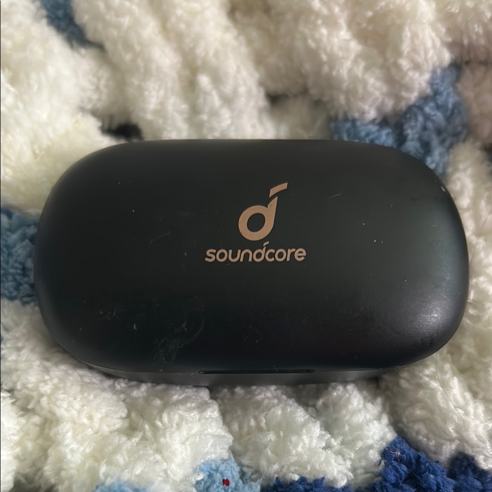 Black Earbud Headphones
